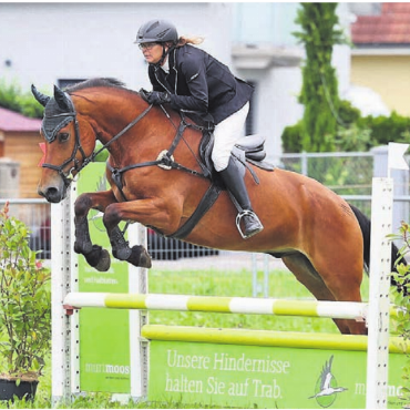 Zwischen Parkplatz und Parcours - Cornelia Wanderon in Aktion. Sie hat dieses Jahr schon zahlreiche Concours absolviert und ist bereits für den Freiberger-Final in Avenches qualifiziert.