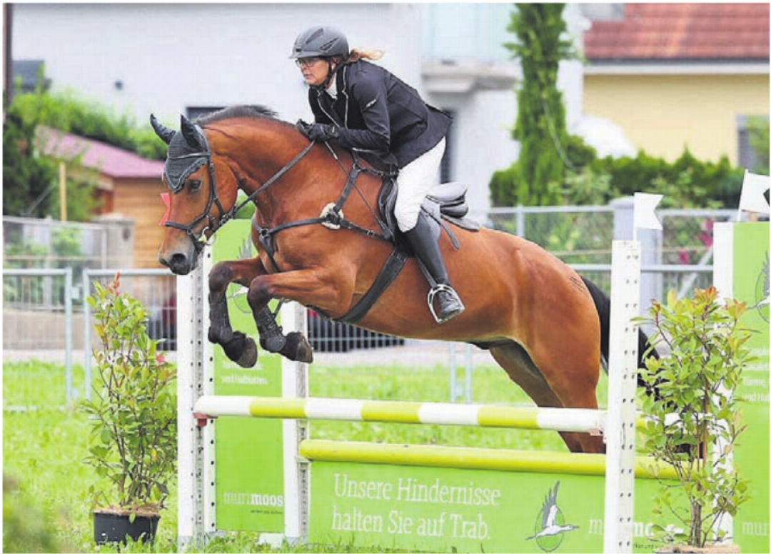 Cornelia Wanderon in Aktion. Sie hat dieses Jahr schon zahlreiche Concours absolviert und ist bereits für den Freiberger-Final in Avenches qualifiziert. Cornelia Wanderon in Aktion. Sie hat dieses Jahr schon zahlreiche Concours absolviert und ist bereits für den Freiberger-Final in Avenches qualifiziert.