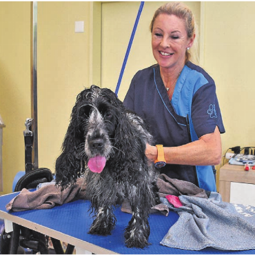 Schlachtfeld aus Wasser und Haaren - Brigitta Notbauer weiss, wie sie mit etwas zappeligen Hunden wie meiner Jara umgehen muss: mit Ruhe und Gelassenheit.
