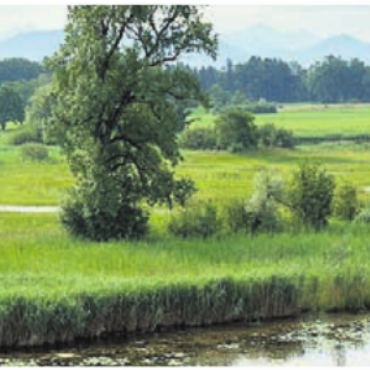 Auen, Riedwiesen, Flachsee - Altwasser-Landschaft Stille Reuss. Bild: zg