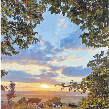Der Blick in die Weite - «Auch das gibt Ferien-Feeling», schreibt Ruth Schüpbach zu diesem Bild. Ein schöner Sommermorgen, aufgenommen in Kallern.