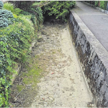 Wenn Fische schreien könnten - Der Hinterbach führt im unteren Bereich gar kein Wasser mehr, viele Fische wie diese Groppen sind qualvoll gestorben.