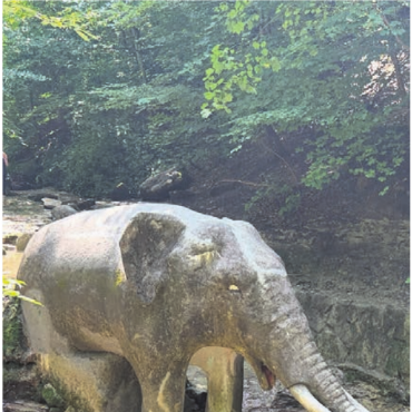LESERFOTOS - «Nicht in Thailand oder Afrika, sondern bei einer Wanderung entlang des Elefantenbachs in Zürich Burgwies», schreibt Claudia Sigrist-Bircher aus Kloten.
