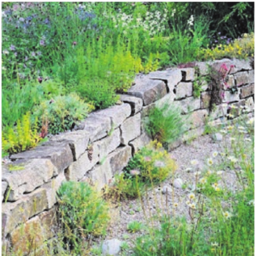 Mein vielfältiger Garten - Einblick in einen speziellen Garten.    Bild: zg