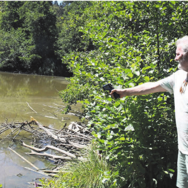 «Dann muss ich Alarm schlagen» - Fischereiaufseher Armin Geissmann misst die Wassertemperatur: Am vergangenen Samstag waren es 29,2 Grad, am Mittwoch wurden 31,2 Grad im Steffetsmösli gemessen. Bilder: Daniel Marti